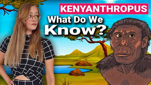 Kenyanthropus Platyops | Flat Faced Man From Kenya