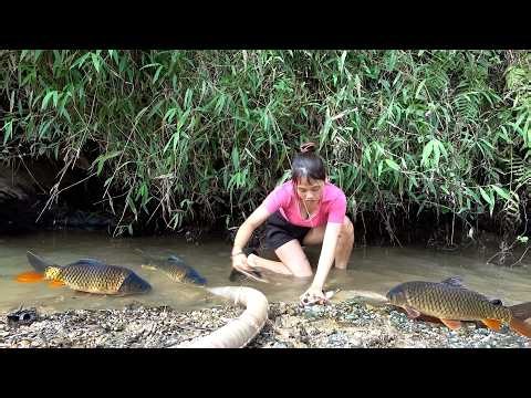 Unbelievable Fishing Technique: Amazing Girl Catching Big Fish By Hand in Pond Water