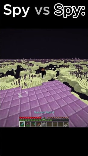 he stole my shulker #minecraft #spyvsspy