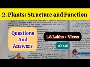 7th Std - Science - Chapter 2 Plants: structure and function questions answers exercise - Class 7th