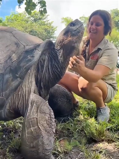 The Science Behind Tortoise Neck Growth Explained