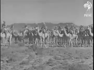 The British Somaliland Camel Corps - 1943. #Somalia #Somaliland #Somali | British & Commonwealth Forces