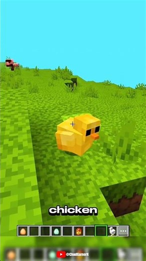 Which is The Smallest Mob in Minecraft.