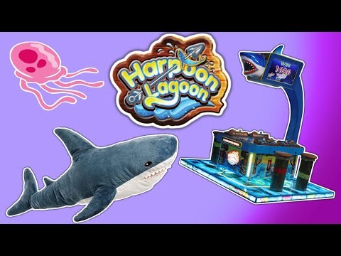 Taking a Look at Harpoon Lagoon