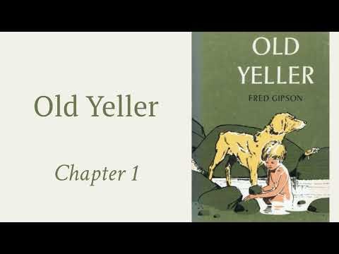 (1) Old Yeller, Chapter 1 *REVISED