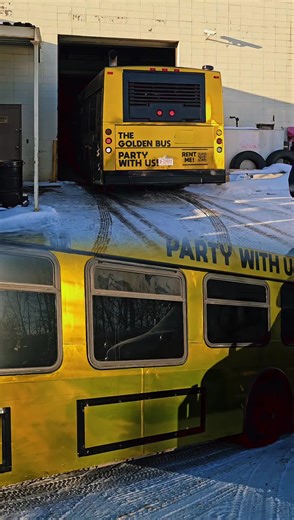The Golden Bus: Edmonton's Ultimate Party Experience