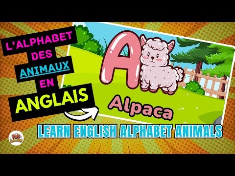 Apprendre l'alphabet des animaux en anglais | Apprentissage facile pour débutants (ABC Learning)
