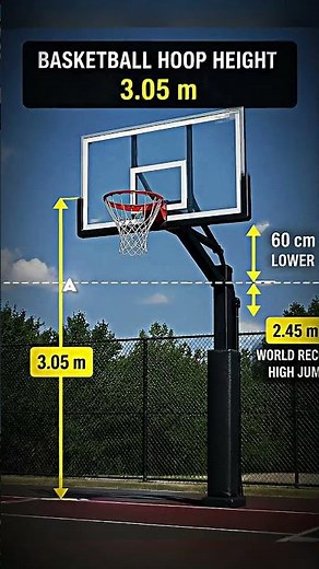 How High Is the High Jump World Record? 🤯