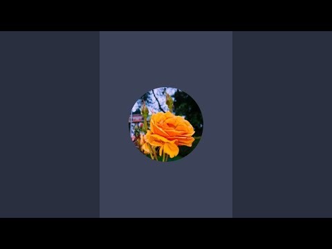 உழவன் விவசாயம், uzhavan vivasayam is live!