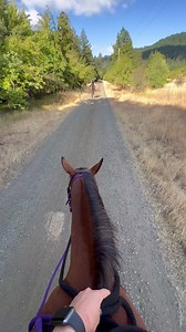 5.7K views · 274 reactions | Come on a horseback ride with me! To the top of “Dimple Hill” for a picnic! #horses #horseriding #horselove #horsegirl | Double Z Farm | Facebook