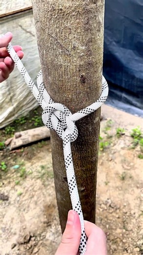 how to tie a professional knot