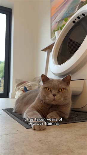 10K reactions · 187 shares | Over 25 years of innovation and trusted by over 1 million cat parents—meet the gold standard of self-cleaning litter boxes. | Litter-Robot by Whisker | Facebook