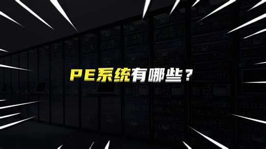 PE系统有哪些？