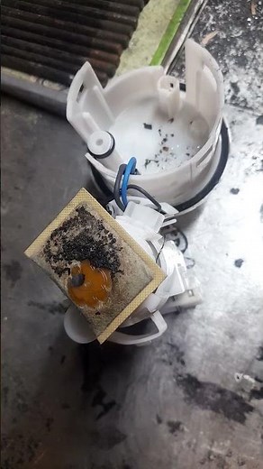 Triumph tiger fuel pump filter check