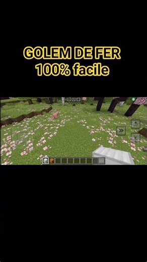 👉 Comment créer un golem de fer en 10 secondes !