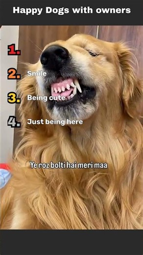 “Ranking Dogs cute and playful🐕🔥”