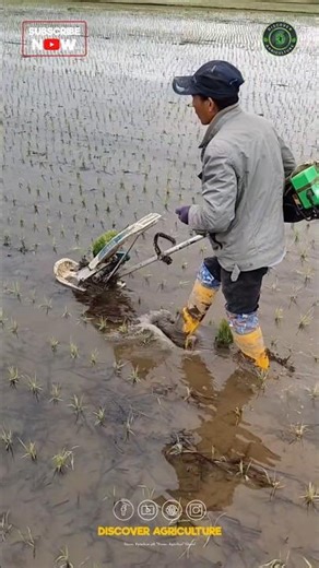 Rice Planting Battery Operated Brushcutter Attachment