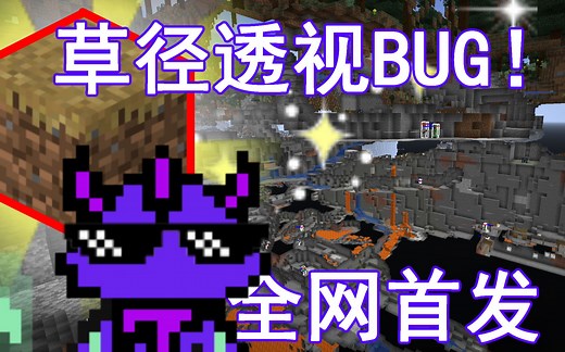 全网首发！minecraft极简草径透视bug (java正式版1.13.x-1.14.x)