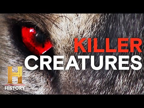 The UnXplained: The World's Most FEARSOME Creatures | History