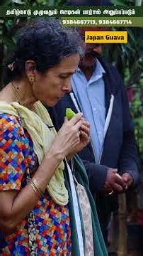 🤯 Pink inside Guava? Japan Guava Sweet-aa irukuma? | Home Garden Friendly 🍈🌱