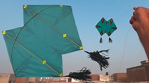 11K views · 96 reactions | Learn how to make a stunning double kite...