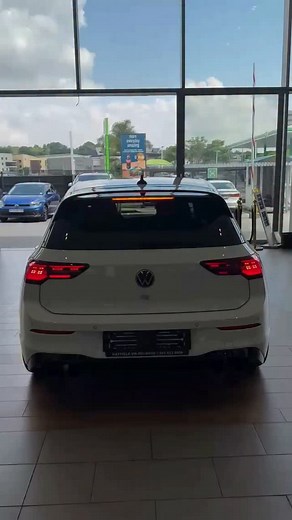 Thendos on Instagram: "White wolf"