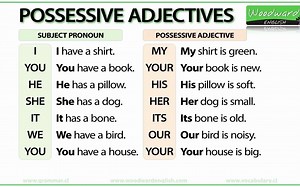 possessive adjective