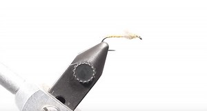 5 Dry Fly Patterns for Summer in Colorado