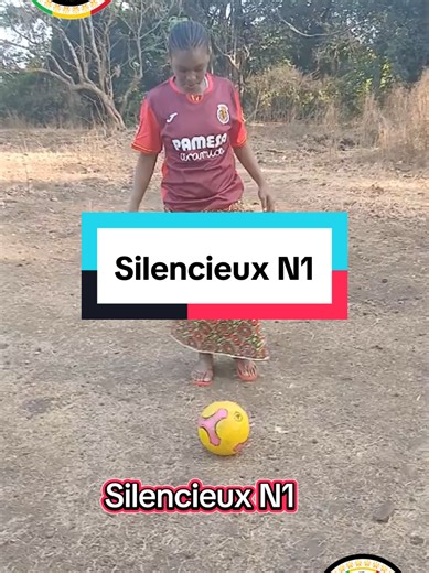 Silencieux N1 223🇲🇱 Malien Fantôme🇲🇱👻🐦‍🔥 L’homme Silencieux 🇲🇱#visibilité #cejourlà #100kfollowers #viraltiktok #malitiktok🇲🇱
