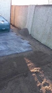 Job we're doing in County Kildare common on great anyone around Kildare looking for free quotations members of our team will be in Kildare all day today | JP Paving and Landscaping | Facebook