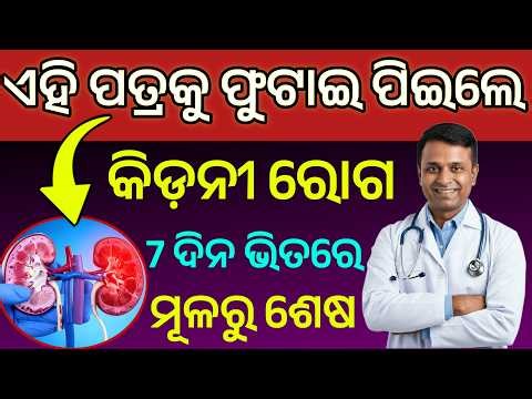 Odia Gk 2026 | Odia Gk Quiz | Odia Gk Questions And Answers | Gk Live Odia | General Knowledge Odia