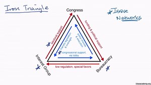 Iron triangles and issue networks