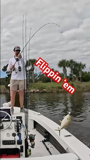 Targeting Jack Crevalle using live mullet #livebaitfishing