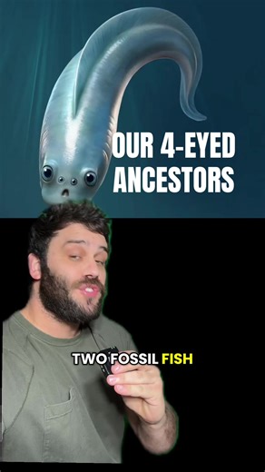 New Insights on Vertebrate Eye Evolution from China