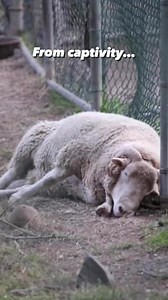 131K views · 7.2K reactions | As many of you know, Huxley spent 10...