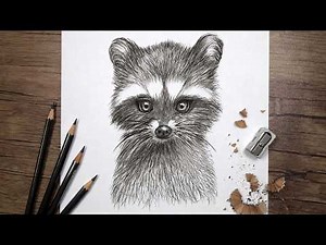 Can You Draw This Realistic Raccoon? Easy Pencil Sketch Tutorial