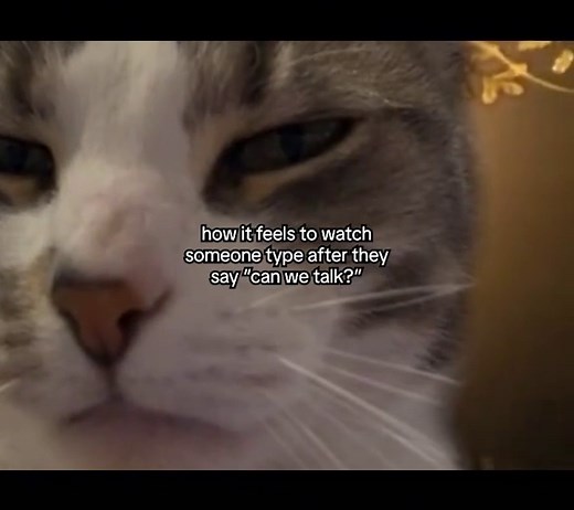 Dramatic Cat Moments That Will Make You Laugh