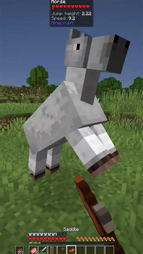 67 REFERENCE IN MINECRAFT #minecraft #67 #sixseven
