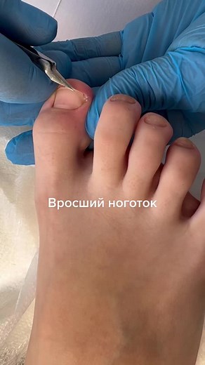 Мастер Сильченко Анна on TikTok