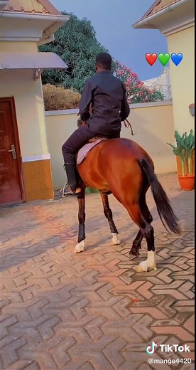 mange4420 (@mange4420)’s videos with Live Forever - Kayode