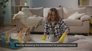 Creating a Pet-Friendly Home