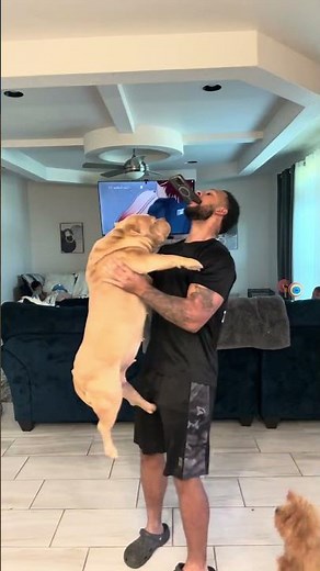 WILD DOGS Take on the TikTok Spinning Challenge!