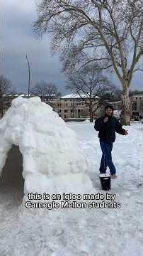 A new Tartan has entered the igloo ❄️