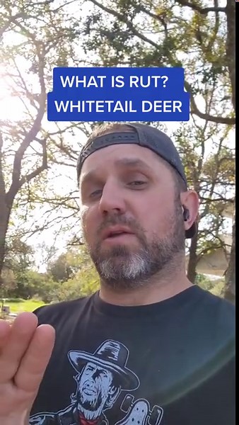 The Rut in Texas: What Every Hunter Needs to Know About White-tailed Deer!