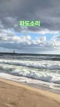 🌊8월 12일 아침 실시간 파도 소리 #바다 #파도소리 #낙산해수욕장 #낙산해변 #naksanbeach #Thesoundofwaves #파도#양양여행 #자연관찰