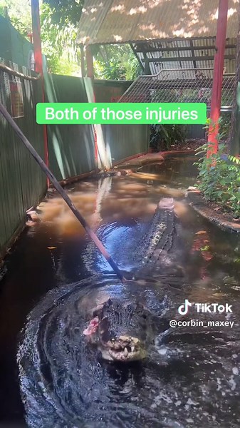 Feeding The World’s Largest Crocodile!!! 😱🐊