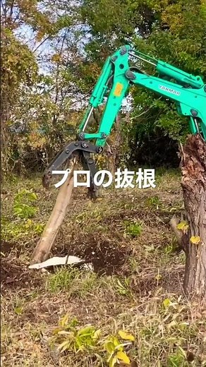 この後どうする？