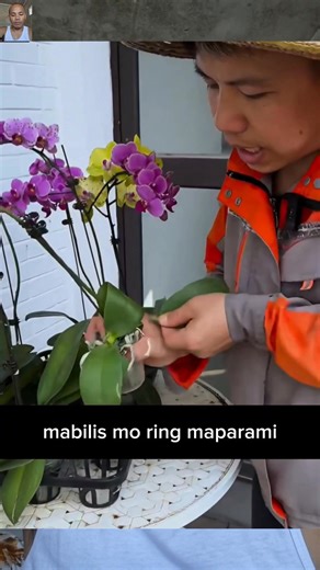 Mga DIY ideas sa pagpaparami ng mga pananim ng mabilis #diy #lifehacks #gardening #plantita #plantito | Rame Niel