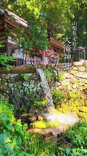 五感で癒される場所｡ 緑に囲まれ絶え間なく 流れる水の音は 最幸の癒しです ꕤ︎︎·͜· #大滝神社 #山梨県 #北杜市 #神社 #神社巡り #龍神 #開運 #湧水 #CapCut