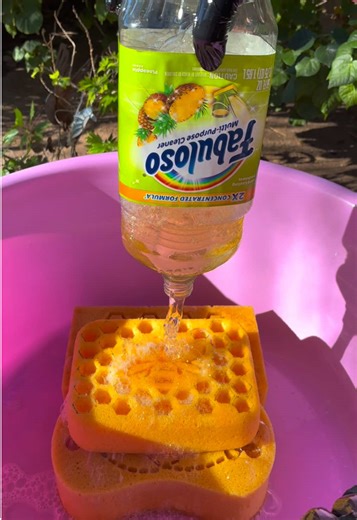 Beautiful Beehive Sponge Review: Softest Addition!